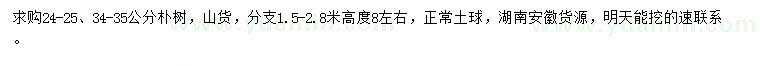 求購(gòu)24-25、34-35公分樸樹(shù)