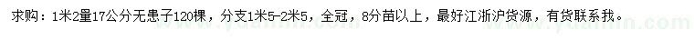 求購1.2米量17公分無患子