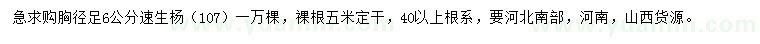 求購胸徑足6公分速生楊