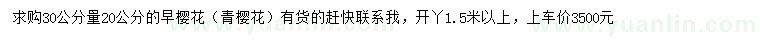 求購30公分量20公分早櫻花（青櫻花）