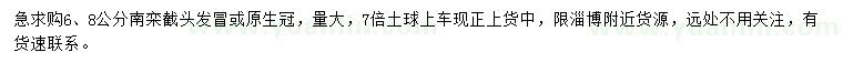 求購(gòu)6、8公分南欒