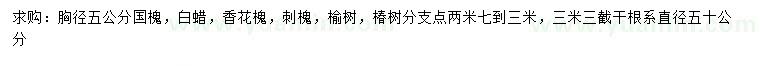 求購(gòu)國(guó)槐、白蠟、香花槐等