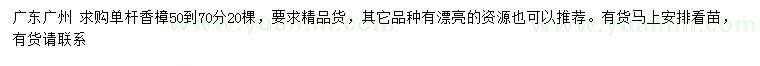 求購50-70分單桿香樟