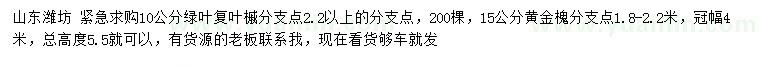 求購(gòu)10公分綠葉復(fù)葉槭、15公分黃金槐