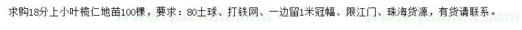 求購(gòu)18公分以上小葉欖仁