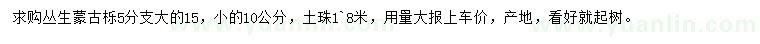 求購叢生蒙古櫟