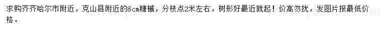 求購8公分糖槭
