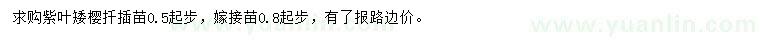求購紫葉矮櫻
