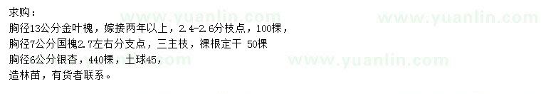 求購金葉槐、國槐、銀杏