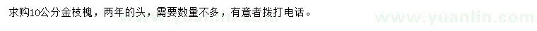 求購10公分金枝槐
