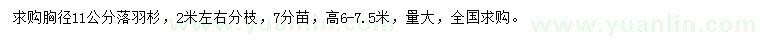 求購(gòu)胸徑11公分落羽杉