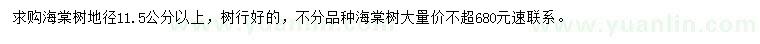 求購地徑11.5公分以上海棠樹
