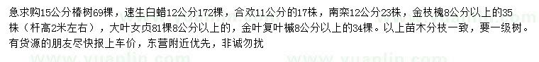 求購椿樹、速生白蠟、合歡等
