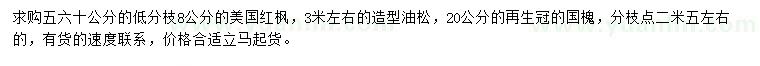 求購美國紅楓、造型油松、國槐