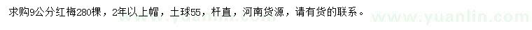 求購9公分紅梅