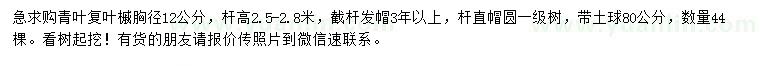 求購胸徑12公分青葉復(fù)葉槭