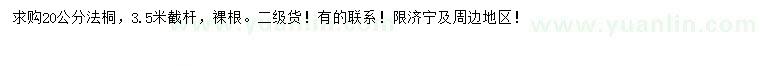 求購20公分法桐