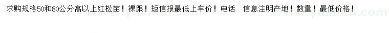 求購50、80公分以上紅松苗