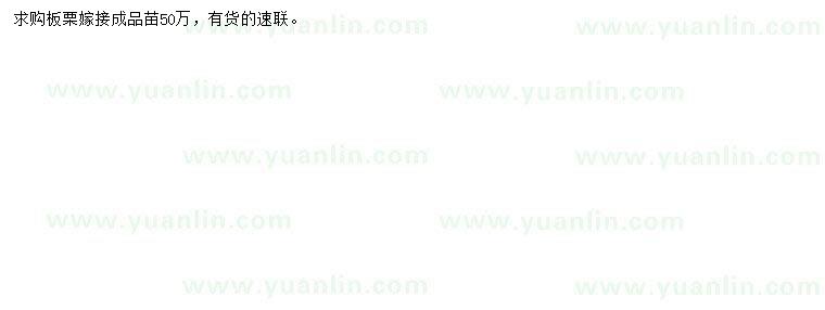 求購(gòu)板栗嫁接苗