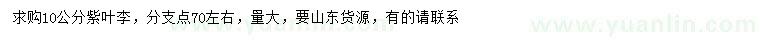 求購10公分紫葉李