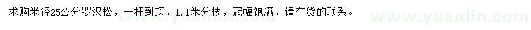求購米徑25公分羅漢松