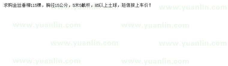 求購(gòu)胸徑15公分金絲垂柳
