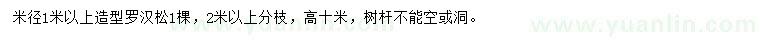 求購米徑1米以上造型羅漢松