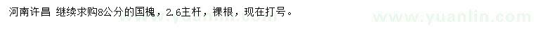 求購8公分國槐
