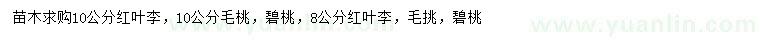 求購紅葉李、毛桃、碧桃