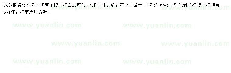 求購胸徑18公分法桐、5公分速生法桐