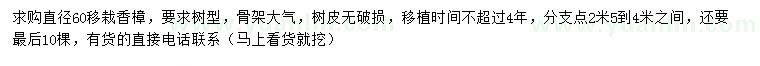 求購直徑60公分移栽香樟