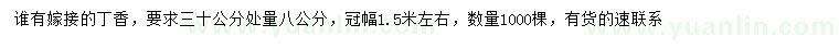求購30公分處量8公分丁香