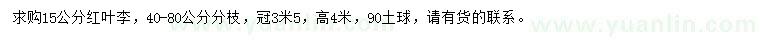 求購15公分紅葉李