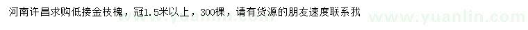 求購冠幅1.5米以上低接金枝槐