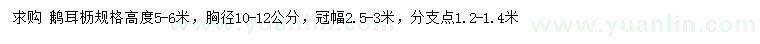 求購胸徑10公分鵝耳櫪
