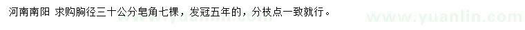求購胸徑30公分皂角