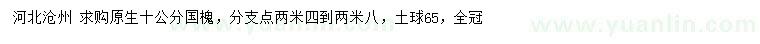 求購(gòu)10公分國(guó)槐