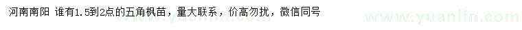 求購1.5-2公分五角楓苗