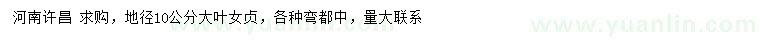 求購地徑10公分大葉女貞