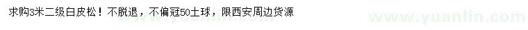 求購3米白皮松