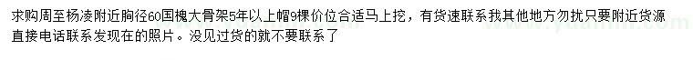 求購(gòu)胸徑60公分國(guó)槐