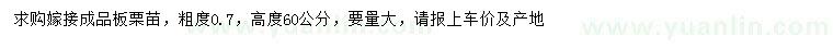求購粗度0.7公分購嫁接板栗苗