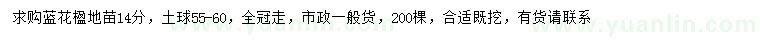 求購(gòu)地苗14公分藍(lán)花楹