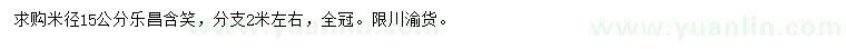求購(gòu)米徑15公分樂(lè)昌含笑