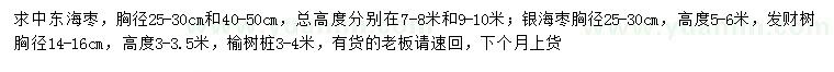 求購中東海棗、銀海棗、發(fā)財樹等