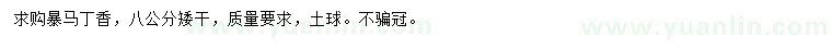 求購(gòu)8公分暴馬丁香