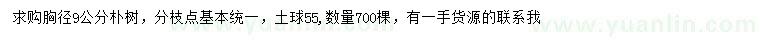求購胸徑9公分樸樹