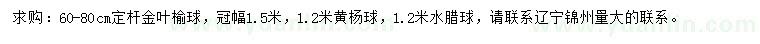 求購金葉榆球、黃楊球、水臘球