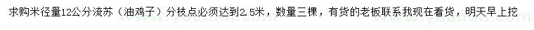 求購米徑12公分流蘇