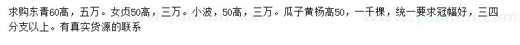 求購冬青、女貞、瓜子黃楊等